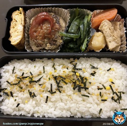お昼ごはん 卵焼き ハンバーグ ほうれん草 厚揚げの煮物　  WBC準決勝進出良かったです 大谷選手の絶対勝つという気持ちが伝わって来ました 決勝まではいける！！アメリカ、ベネズエラがタレント揃いで強いと思う。