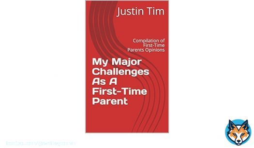 What's your experience as a first time parent? This book will help reappraise yourself.    #WritingCommunity #writerslift