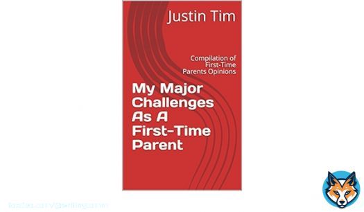What's your experience as a first time parent? This book will help reappraise yourself.    #WritingCommunity #writerslift