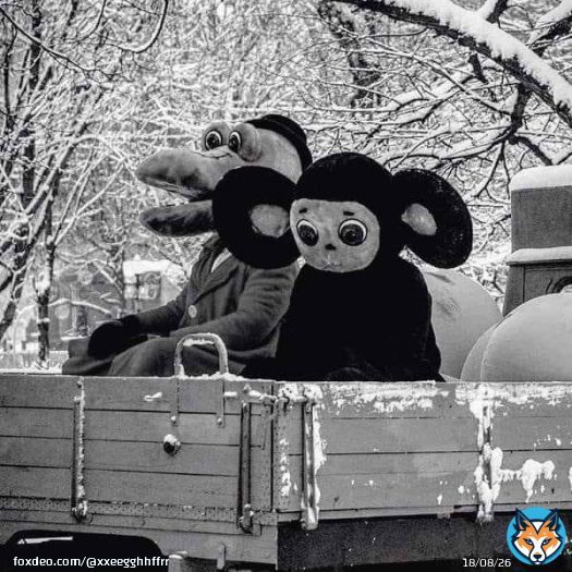 - Гена, а почему нет хороших российских фильмов ужасов? - Ты, Чебурашка, вокруг-то посмотри&hellip;