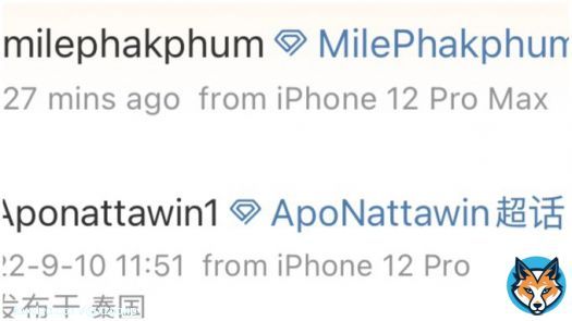 so if they upgrade iphones mile will get iphone 14 pro max and apo will get the 14 pro   idk why but that sounds cute af