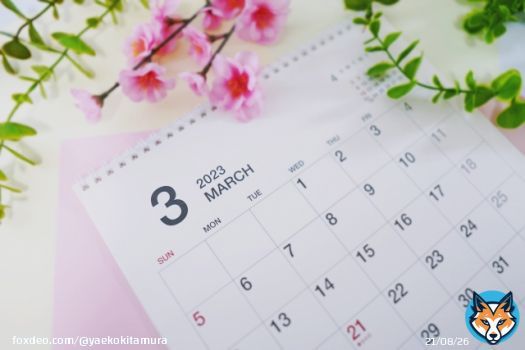 《3月1日》花粉「極めて多い」予想 昨日はここ数年で最も多くスギ花粉が飛散！ 今日も大量飛散の可能性あり！しっかり対策！ 3月もよろしくです&darr;  埼玉大学と共同で観測【花粉飛散情報】 #花粉症　#花粉　#今日ひどい