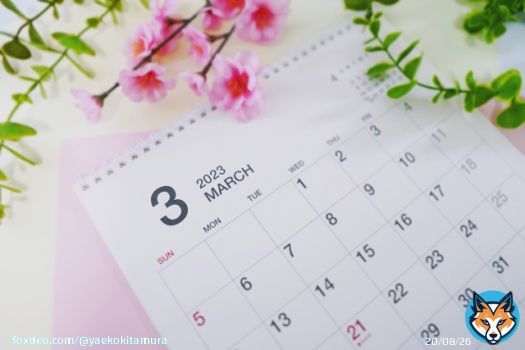 《3月1日》花粉「極めて多い」予想 昨日はここ数年で最も多くスギ花粉が飛散！ 今日も大量飛散の可能性あり！しっかり対策！ 3月もよろしくです&darr;  埼玉大学と共同で観測【花粉飛散情報】 #花粉症　#花粉　#今日ひどい