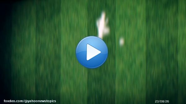 【90秒で知る】#サッカー日本代表 の軌跡 1993年のドーハの悲劇から2022年のカタールワールドカップ出場まで、サッカー日本代表の歩みを90秒で振り返ります。 今回のカタール大会でははたしてどのようなドラマが待っているのでしょうか。 #FIFAWorldCup  views
