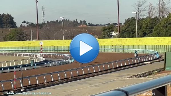 リフレイム 最終追い切り 6F84.4-67.4-52.4-37.9-11.8  本日は半マイルまで我慢させたので前半はその分力みましたが、それ以降はスムーズに加速してリズム良く走れた 良い状態で臨めそう  ワクワクするぅ