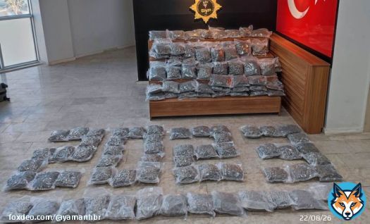 Şanlıurfa'da 91 kilogram uyuşturucu ele ge&ccedil;irildi    Twitter G&uuml;ndemi :  #Cumhurdan100Bin&Ouml;ğretmen              #AdilZamİnsancaYasam              OlurdaBeni BirgunOzlersen