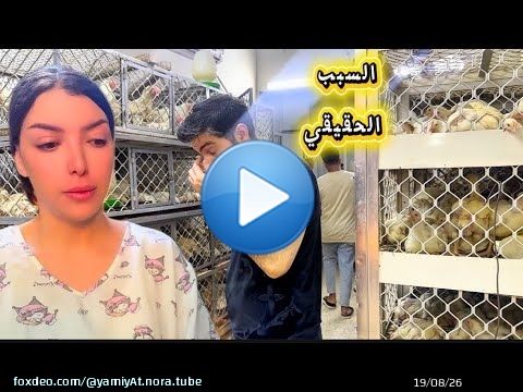 حقيقة رفض راجلي من لخدمة ها علاش \u2639\ufe0f