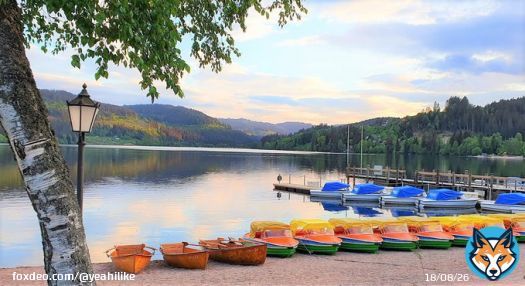 #ad Dear Friends, I am happy to share my #vacation #trip to #Germany #Lake #Titisee CLICK LINK BELOW. Thanks.  >> ((  ))  #travel #travelling #travelphotography #TravelTuesday #travelblogger #traveler #travel #nature #naturelovers #NaturePhotograhpy