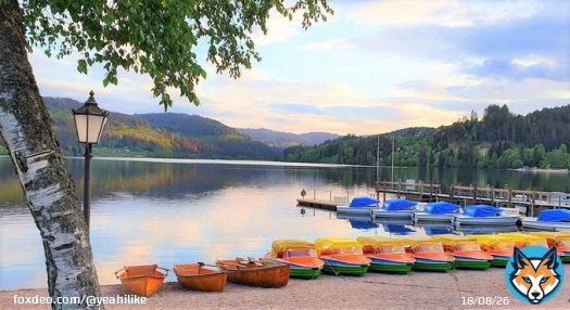 #ad Dear Friends, I am happy to share my #vacation #trip to #Germany #Lake #Titisee CLICK LINK BELOW. Thanks.  >> ((  ))  #travel #travelling #travelphotography #TravelTuesday #travelblogger #traveler #travel #nature #naturelovers #NaturePhotograhpy