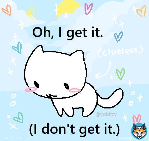 caturday : 3