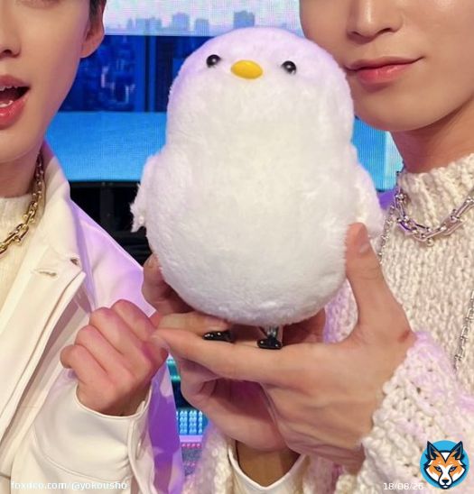 YonaJun's hand size difference  #よなじゅんと白い恋人達