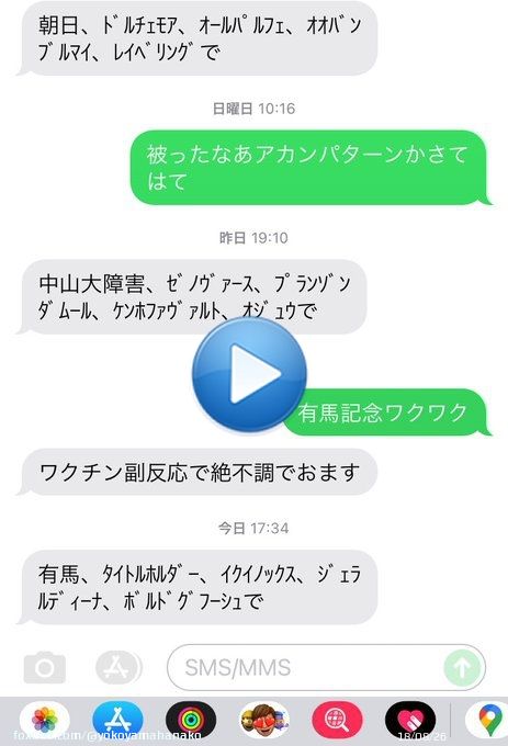 八咫烏有馬記念予想