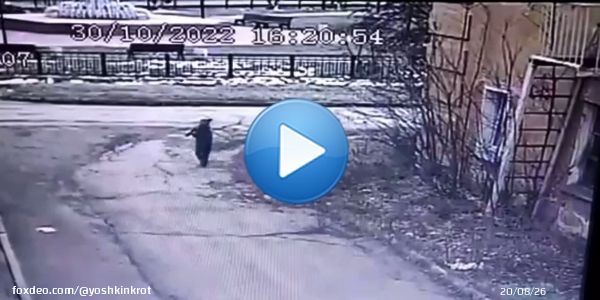 Духовно-нравственные ценности 'отдельной цивилизации':  В Новосибирской области депутат-единоросс Сергей Мамонтов сбил ребёнка &mdash; и уехал.  Как сообщают местные жители, ребёнок был доставлен в реанимацию с перелом бедра и черепно-мозговой травмовмой... Нет слов0:5613.8K views