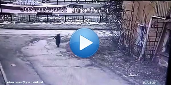 Духовно-нравственные ценности 'отдельной цивилизации':  В Новосибирской области депутат-единоросс Сергей Мамонтов сбил ребёнка &mdash; и уехал.  Как сообщают местные жители, ребёнок был доставлен в реанимацию с перелом бедра и черепно-мозговой травмовмой... Нет слов0:5613.8K views