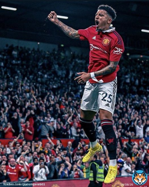 The return of Sancho. This picture is my current mood. Time to cook