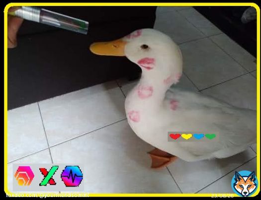 Greg the Duck has been busy with the ladies.  He's almost done.  If you're waiting for the #PLS & #PLSX dip, you have to be aware that Greg could launch PulseChain when ETH is above $2,000.  People can quickly refuse to sell when they see #Bitcoitcoin & #Ethereum Pumping.