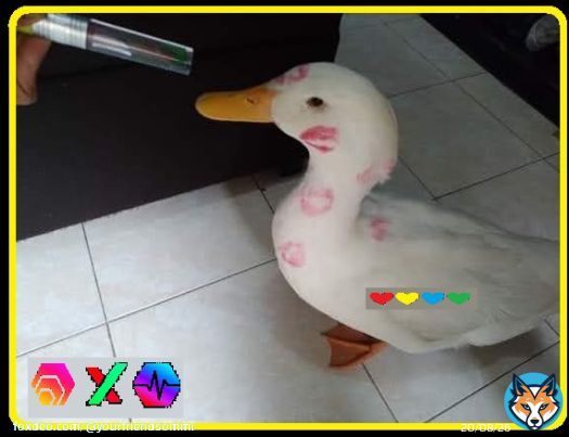 Greg the Duck has been busy with the ladies.  He's almost done.  If you're waiting for the #PLS & #PLSX dip, you have to be aware that Greg could launch PulseChain when ETH is above $2,000.  People can quickly refuse to sell when they see #Bitcoitcoin & #Ethereum Pumping.