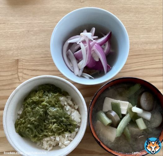 お気に入りのパーカーで元気な様子を 見せてくれた風さん眼が綺麗すぎる 唐揚げが食べたくて高野豆腐で 今日のご飯　#節約料理　#おうちごはん