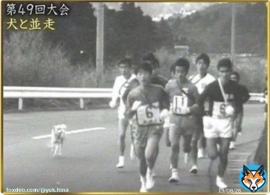 箱根駅伝はやっぱり復路!6区〜10区 (8時スタート) 注目ポイント 1年に15秒しか見られない みんな大好き6区 『犬と並走』 3年ぶり復活なるか 7区・二宮のフリーザー様御一行 襷は繋がるのか 非情の繰り上げスタート 9区・10区 戸塚・鶴見中継所 ゴール前 優勝争い&地獄のシード権争い #箱根駅伝