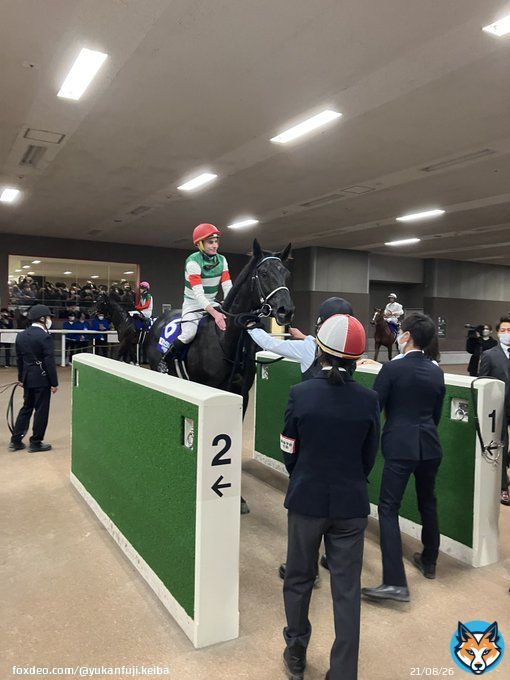 ジャパンカップを制したヴェラアズール