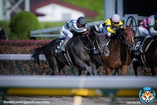 2022.05.22 丹沢ステークス（4歳以上3勝クラス） キスラー&times;武豊  来週も、この勝負服で。  #武豊 #YutakaTake #キスラー #キーファーズ #東京競馬場 @Kiefers_Salon