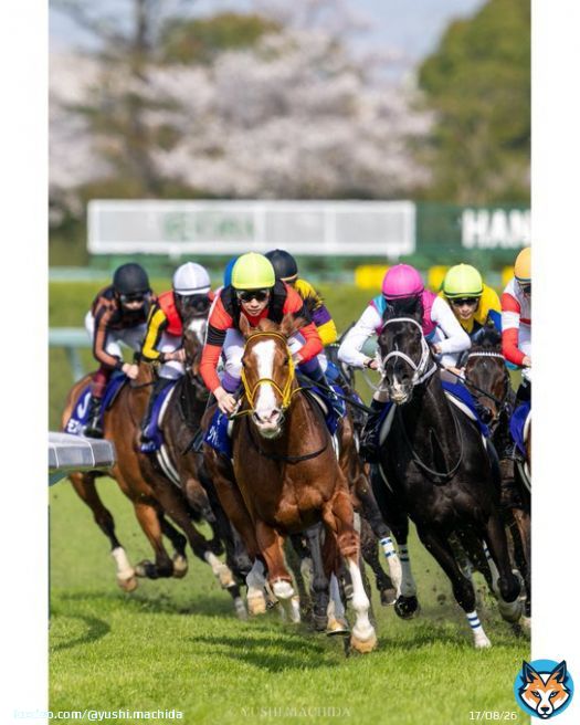 2nd,Apr.2023 Hanshin Racecourse  Osaka Hai （GⅠ） Jack d'Or &times; Yutaka Take  &ldquo;This is the legend&rdquo;  #武豊 #YutakaTake #ジャックドール #JackdOr  #クラウン日高牧場 #大阪杯 #阪神競馬場