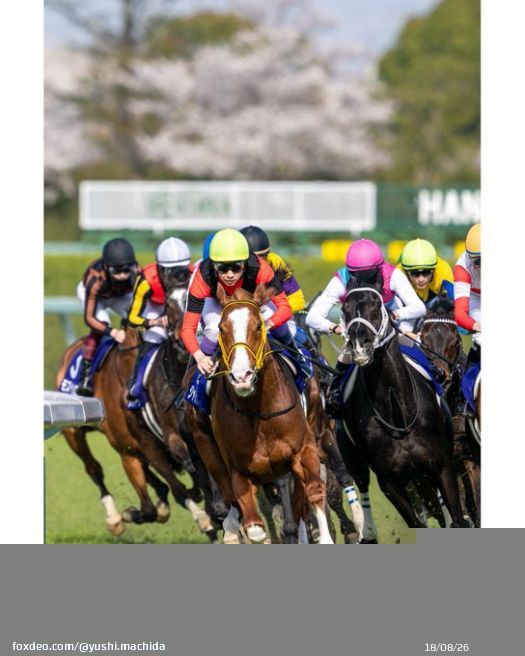 2nd,Apr.2023 Hanshin Racecourse  Osaka Hai （GⅠ） Jack d'Or &times; Yutaka Take  &ldquo;This is the legend&rdquo;  #武豊 #YutakaTake #ジャックドール #JackdOr  #クラウン日高牧場 #大阪杯 #阪神競馬場