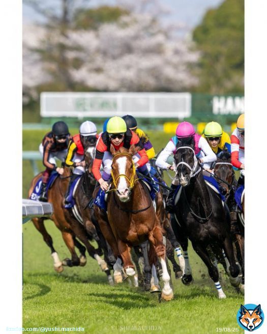 2nd,Apr.2023 Hanshin Racecourse  Osaka Hai （GⅠ） Jack d'Or &times; Yutaka Take  &ldquo;This is the legend&rdquo;  #武豊 #YutakaTake #ジャックドール #JackdOr  #クラウン日高牧場 #大阪杯 #阪神競馬場