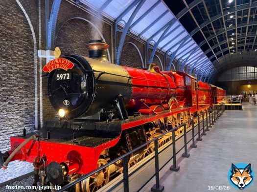 先日行ってきた #WBTourTokyo  ハリーポッターは私と妹の青春。 去年 #WBTourLondon に行ってきたけれどロンドンにはなかった魔法省のエリアは日本初！最高！感動して常に鳥肌  ありがとうワーナーブラザース。 ありがとうJKローリング様！  #ハリポタツアー #スタジオツアー東京