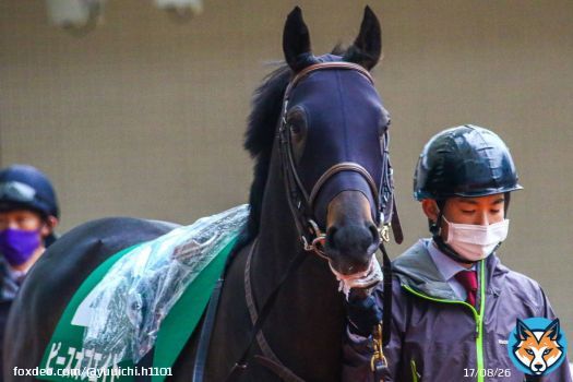 Shooting 2022.3.26  #PieceOfEight #ピースオブエイト #TheDerby #ダービー #東京優駿 #JapaneseDerby #日本ダービー