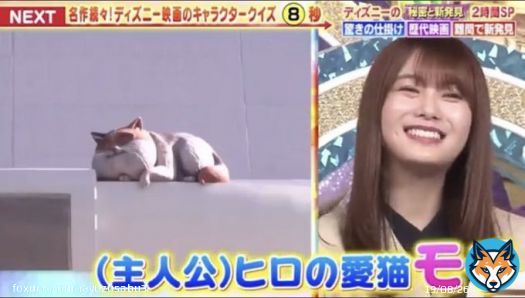 可゛愛゛い゛ぃ゛い゛  #潜在能力テスト  #田村保乃