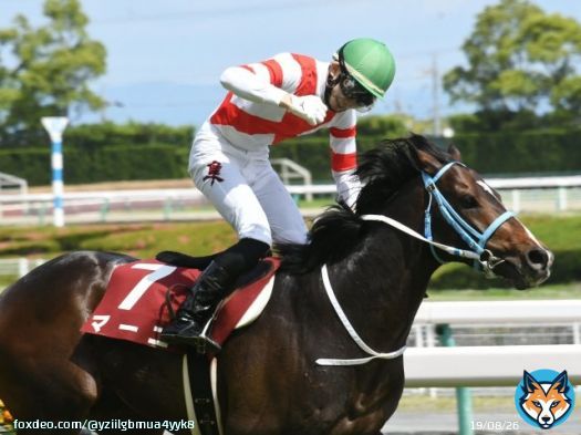 おはようございます。 本日は京都ハイジャンプと安田記念トライアルの京王杯スプリングカップが行われます。 前者は21年の中京開催で三津谷騎手がマーニを重賞初勝利と自らの引退レースを花道で飾ったこと、後者はタイキシャトル等の多くのGⅠ馬の活躍しています。 宜しくお願いします。