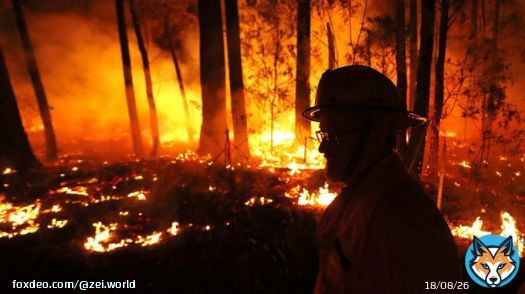Australie, Indon&eacute;sie, Europe, Afrique, Sib&eacute;rie, Arctique, le bassin du Congo, 'deuxi&egrave;me poumon vert mondial' ou encore la for&ecirc;t amazonienne .... 2019   #onsymettous  #prayforautralia #environment #ecologie #r&eacute;solutiotions #grandpas #for&ecirc;t #nature #feu
