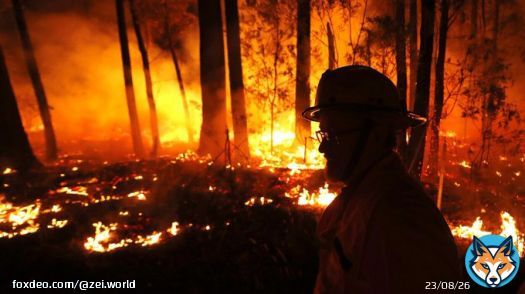 Australie, Indon&eacute;sie, Europe, Afrique, Sib&eacute;rie, Arctique, le bassin du Congo, 'deuxi&egrave;me poumon vert mondial' ou encore la for&ecirc;t amazonienne .... 2019   #onsymettous  #prayforautralia #environment #ecologie #r&eacute;solutiotions #grandpas #for&ecirc;t #nature #feu