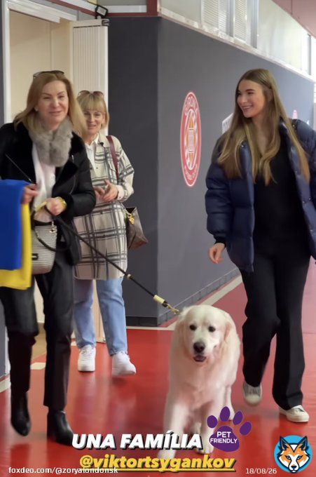 Due to Girona&rsquo;s Montilivi Stadium being pet friendly Tsyhankov&rsquo;s family brought his dog along to his official fire press conference and unveiling