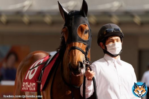 23/3/12 フィリーズレビュー(G2) ランフリーバンクス 武豊 騎手