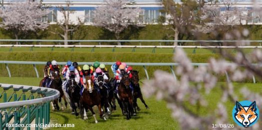 23/4/2 阪神11R 大阪杯(G1) ジャックドール 武豊 騎手