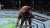 'Я главный борец легчайшего, Хабиб дивизиона' (с) Алджамейн Стерлинг0:01949 views