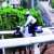 口取りが話題なので、 それでも落ちない2900勝のノリさんをお届け致します  #石川裕紀人 #横山典弘  #ジュンライトボルト #ハピ #チャンピオンズカップ #チャンピオンズC #ゴールドシップ #ウマ娘0:23253.7K views