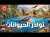 نوادر الحيوانات | حلقات مجمعة