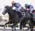 ダイヤモンドステークス G3  \u25ce 2.シルブロン (C.ルメール)  長丁場の鞍上は折り合いの神にお任せするしかないでしょう。 シルブロンも好位から上がりを使えるのでまず馬券から飛ぶイメージはわかず軸はこれしかないです。  #ダイヤモンドステークス #シルブロン