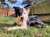 Please retweet to help Baxter find a home #WESTMIDLANDS #UK   Border Collie aged 2-5, looking for a quiet, rural, adult home to go on with training and build confidence.  He may be able to live with another playful dog  DETAILS or APPLY  #Collie #dog