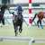 ギラギラしててめっちゃ格好良かった 2023/3/5 中山競馬場 #トップナイフ &times; #横山典弘 騎手 #弥生賞
