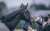 久しぶりのレースお疲れさまでした。 2023/3/5 中山競馬場 #ゴッドファーザー #弥生賞