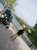 #brela #brelative #ElMiminoso #ChobotnickaV #40xAStalePoprve