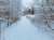 Winter's tale #merrychristmas #happynewyear #goodmorning #GoodLuck #Healthcare
