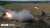 #Russia is reportedly buying artillery shells and rockets from #NorthKorea, a totalitarian terrorist state.   Another indicator that the Russian defence manufacturing sector is in shambles.