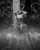 Swipe to put it in color \ud83c\udf08\ud83d\udca7