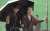 Shin behind the scenes with his friends   #キングダム #山﨑賢人