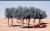 #رمضانك_اجمل_مع  تعاون اهل البيت من اولاد وبنات وزوج مع ربة البيت الزوجة او الأم اذا كانت بصحة جيدة يغنيها عن العاملة واهل البيت اصحاء سعداء بالراحة بعد العمل ويمكن للأب تقديم مايدفعه للعاملة لبناته واولاده وزوجته.(تتلاحم الاشجار فتصبح واحة) #حزب_الي
